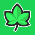 Ivy Bet logo